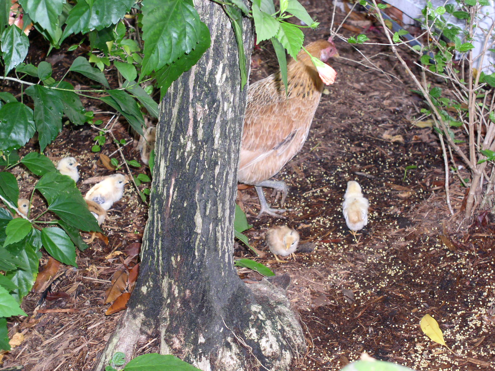 photo1